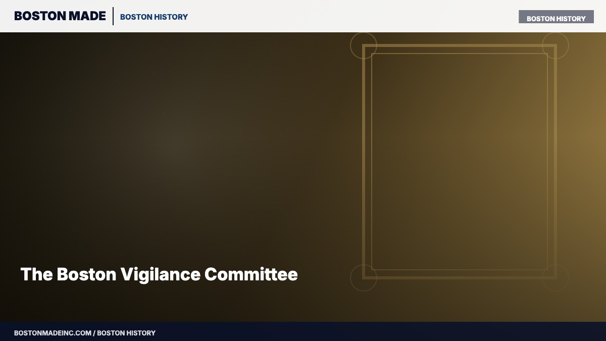 The Boston Vigilance Committee