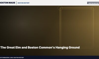The Great Elm and Boston Common's Hanging Ground