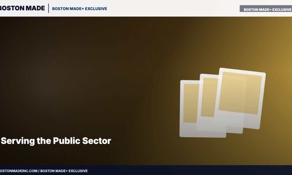 Serving the Public Sector