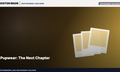 Pupwear: The Next Chapter