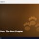 Boston Made Pets: The Next Chapter