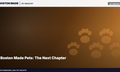 Boston Made Pets: The Next Chapter