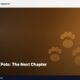 Boston Made Pets: The Next Chapter
