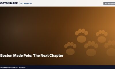 Boston Made Pets: The Next Chapter