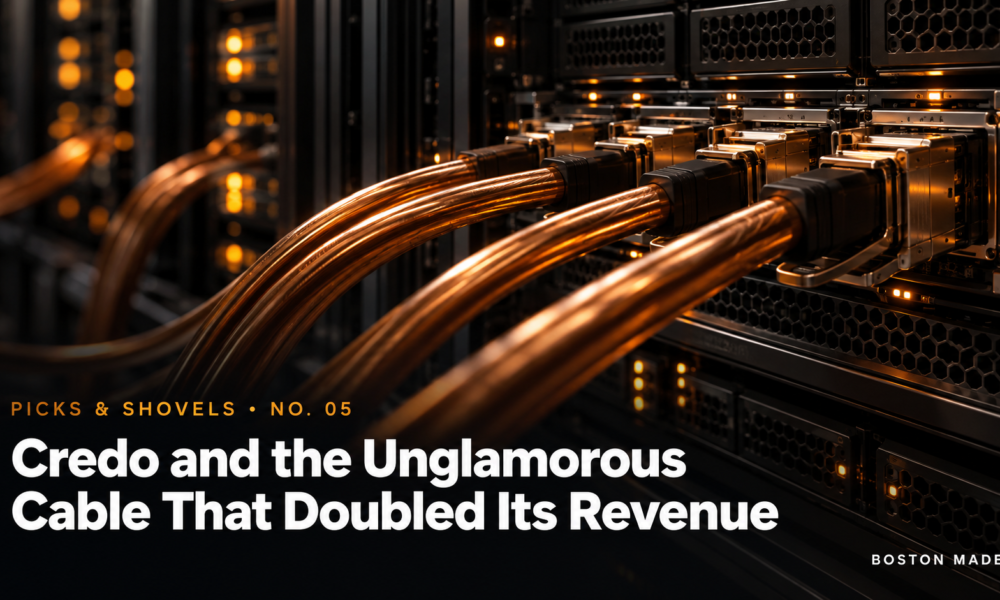 Picks & Shovels No. 05: Credo and the Unglamorous Cable That Doubled Its Revenue