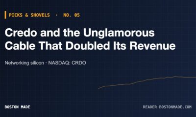 Picks & Shovels No. 05: Credo and the Unglamorous Cable That Doubled Its Revenue