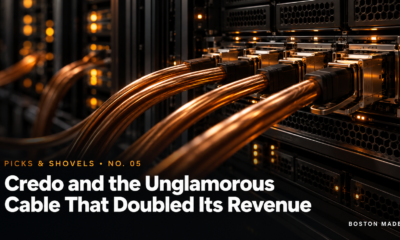 Picks & Shovels No. 05: Credo and the Unglamorous Cable That Doubled Its Revenue