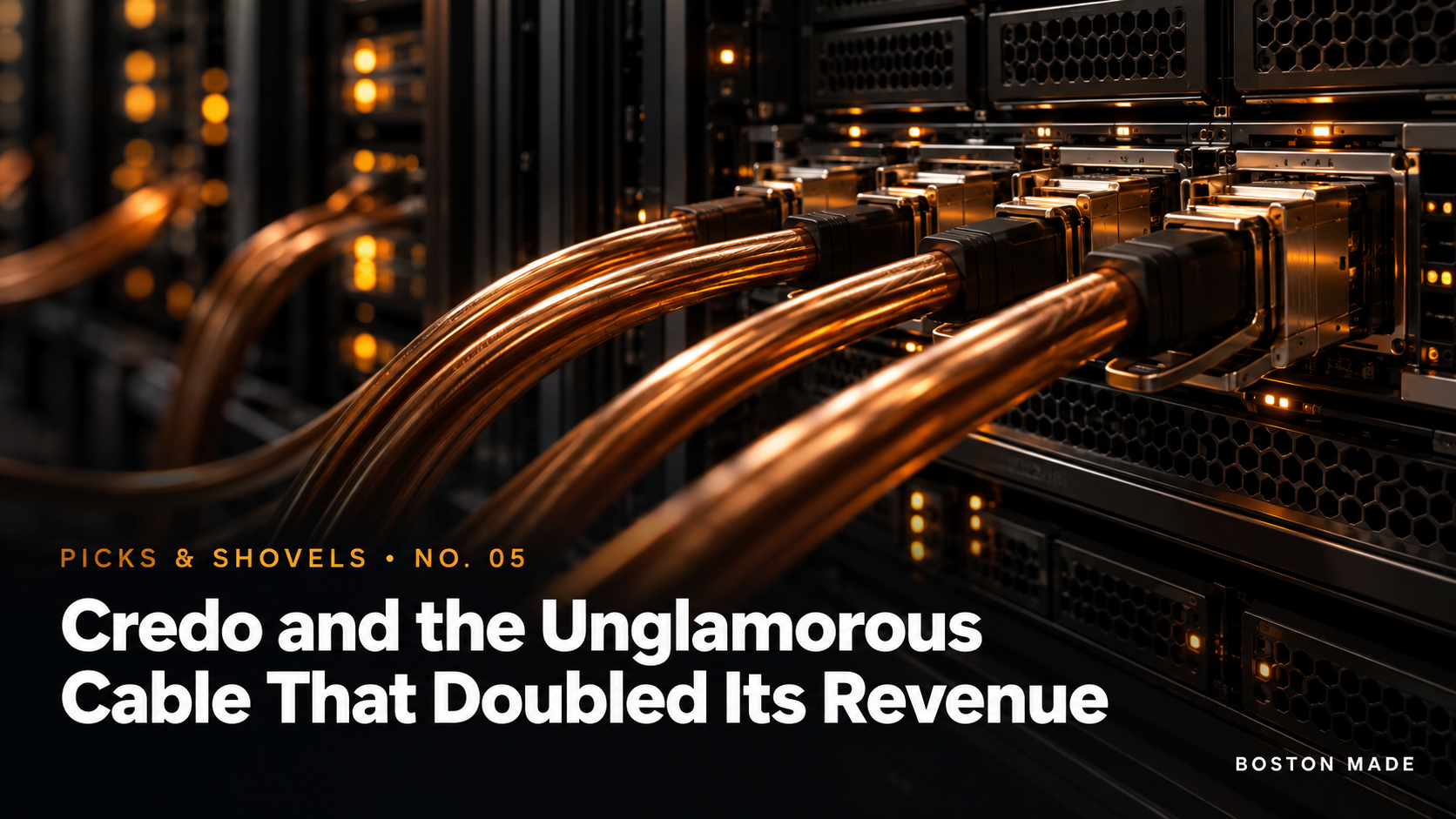 Picks & Shovels No. 05: Credo and the Unglamorous Cable That Doubled Its Revenue